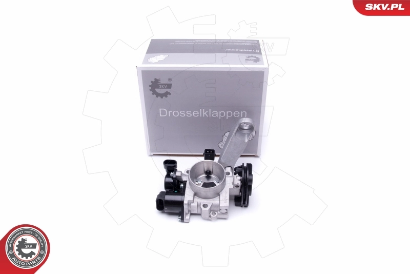 Throttle Body